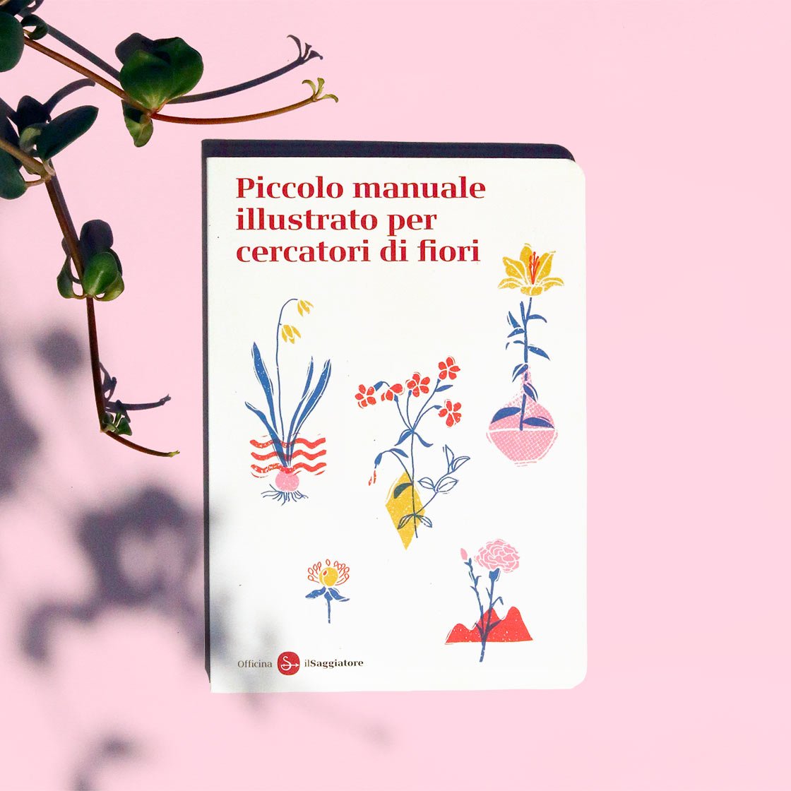 Cartoline fronte retro